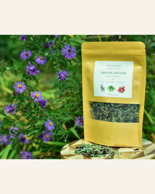 Ground & Restore Hibiscus Lemon Balm Tulsi Tea by IntuiTerra